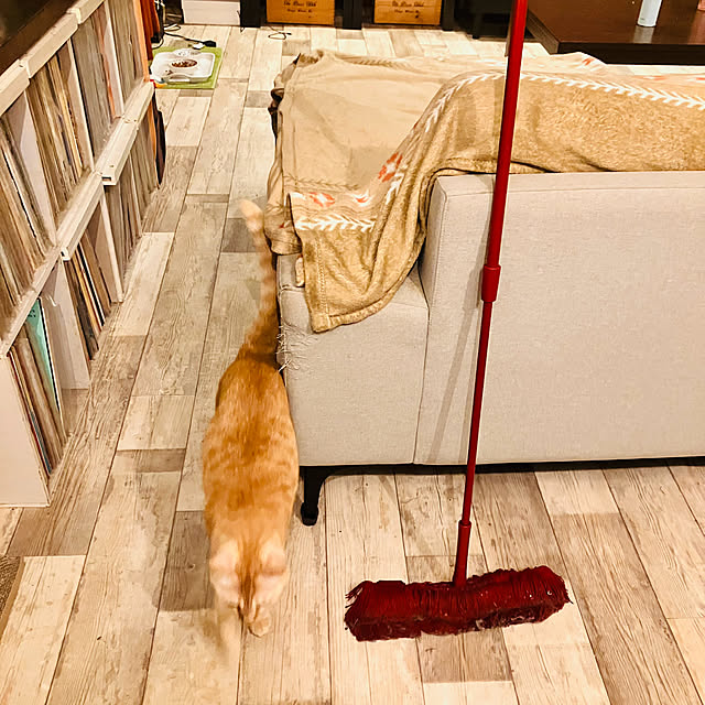 tomorinさんの部屋