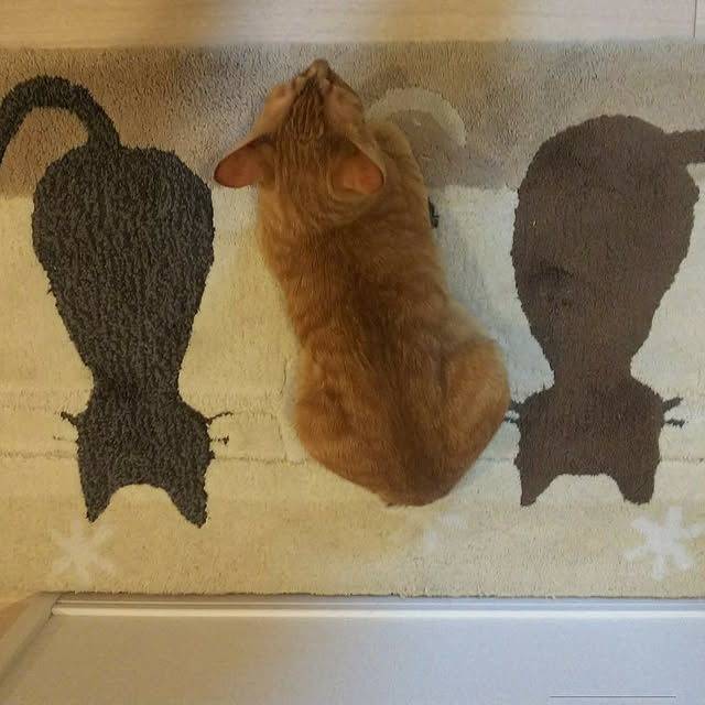 naturalさんの実例写真
