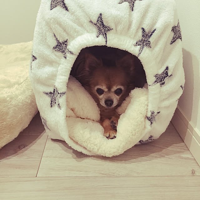 cocoelleさんの実例写真