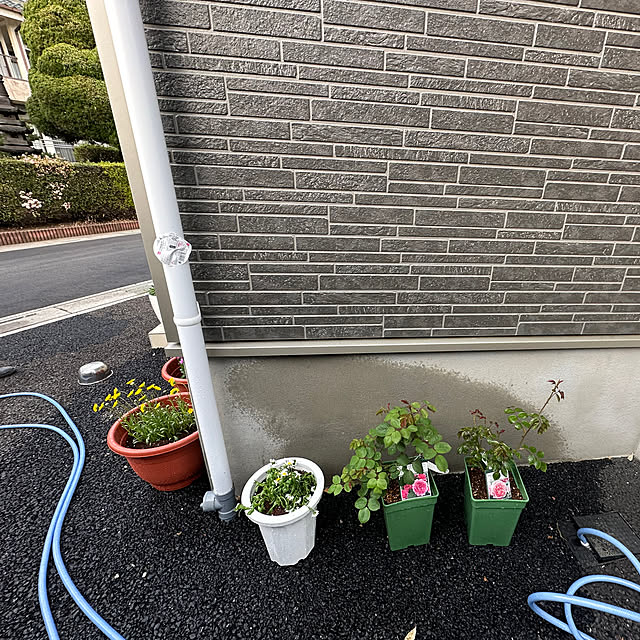 Hさんの部屋