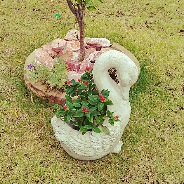 melonさんの実例写真