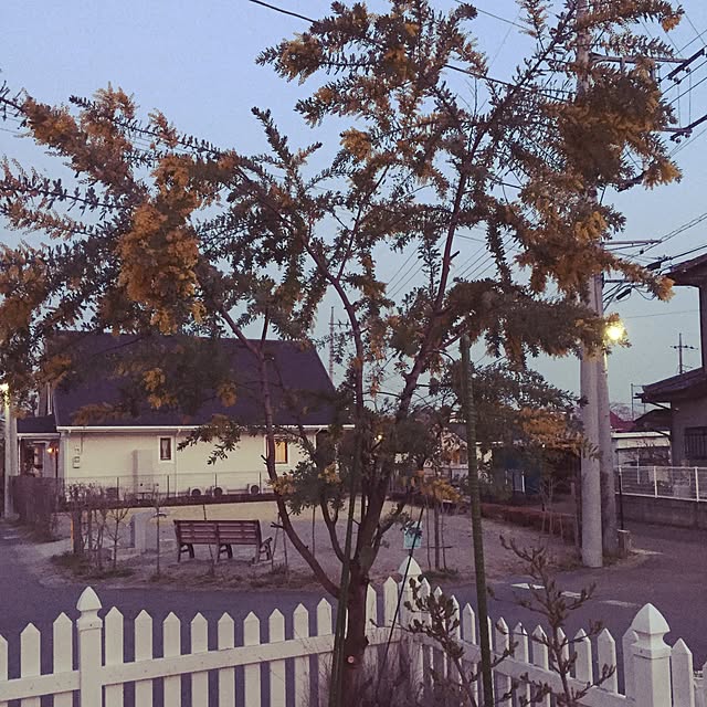blacky-some_hitoさんの実例写真