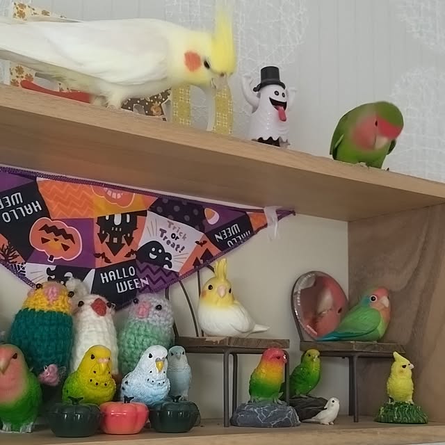 toratanさんの部屋