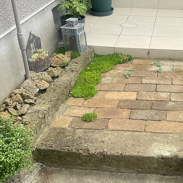 yunroomさんの部屋