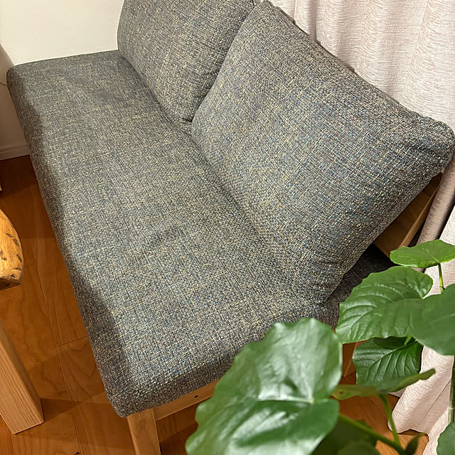 Hachiさんの部屋