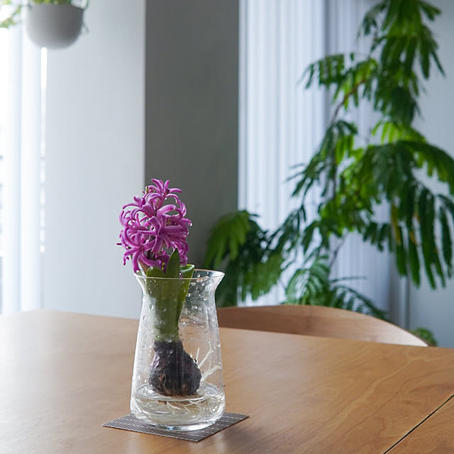 Saraさんの実例写真