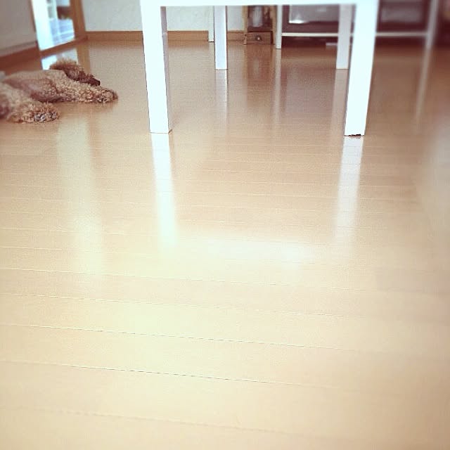rookuさんの実例写真