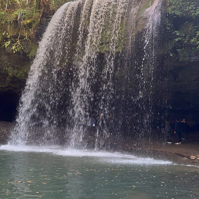 aureaさんの部屋