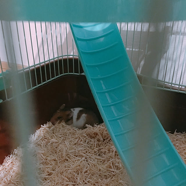 mtk_homeさんの実例写真