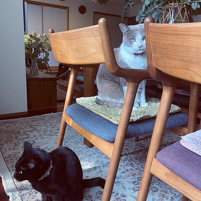 taakoさんの実例写真