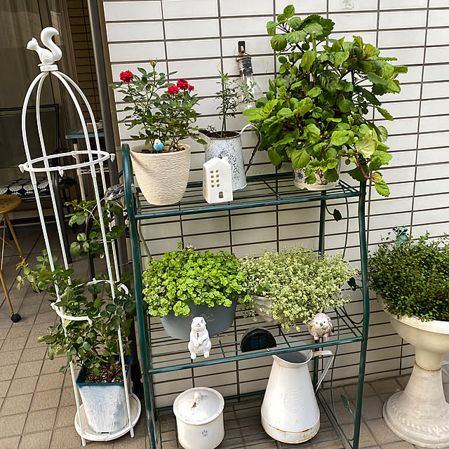 YuuKoさんの実例写真