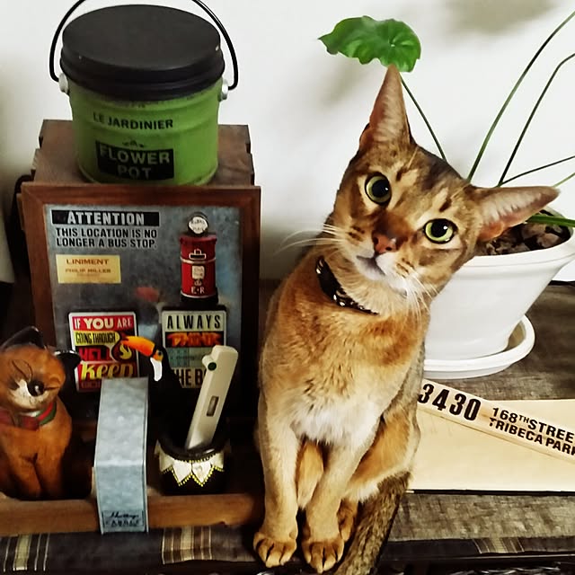 kichiさんの実例写真