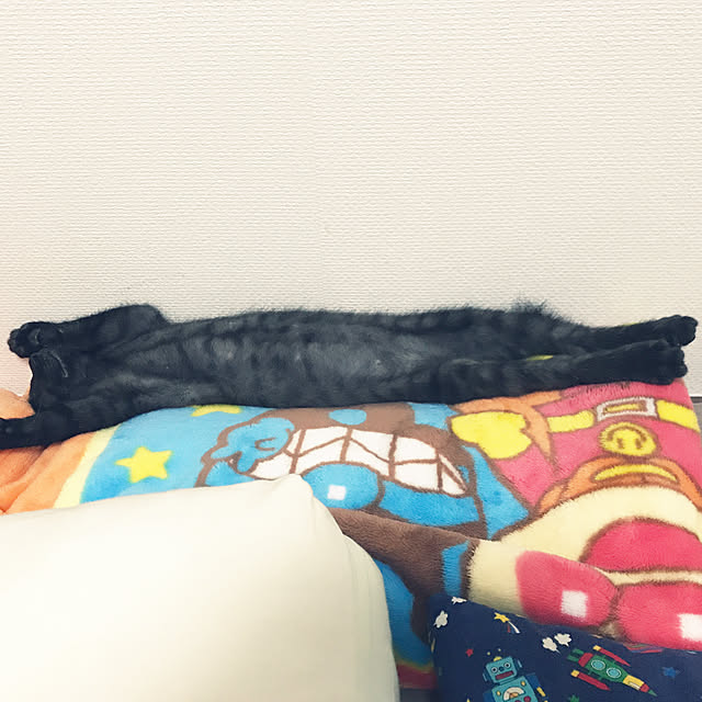 t53978379kさんの実例写真