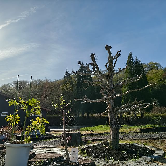 Rubiconさんの部屋