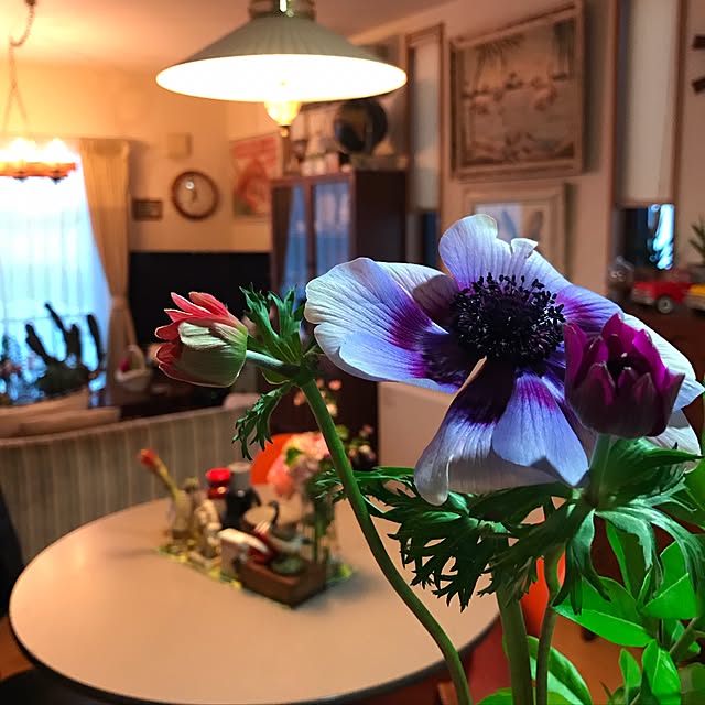 tsuyopipさんの実例写真