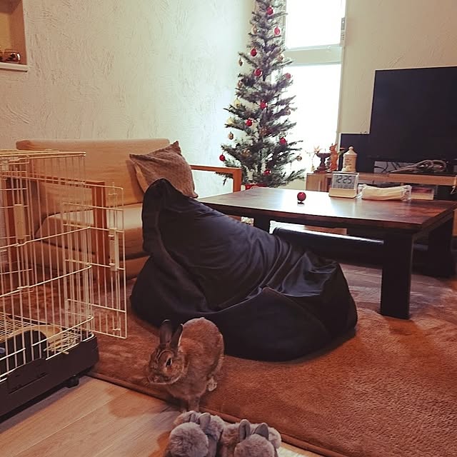 yuuuuさんの実例写真