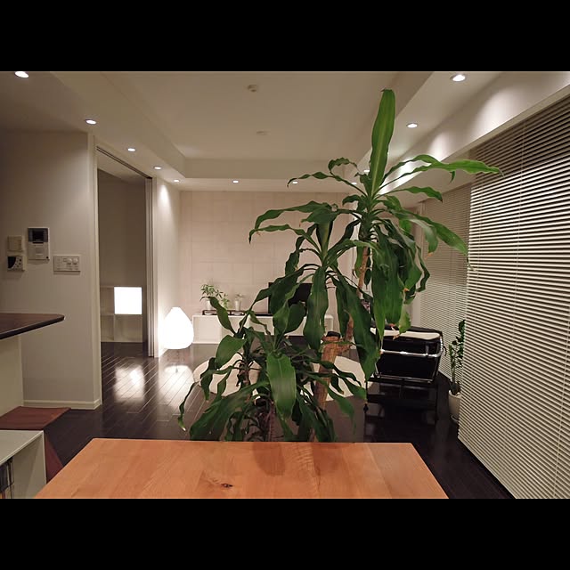 実例写真