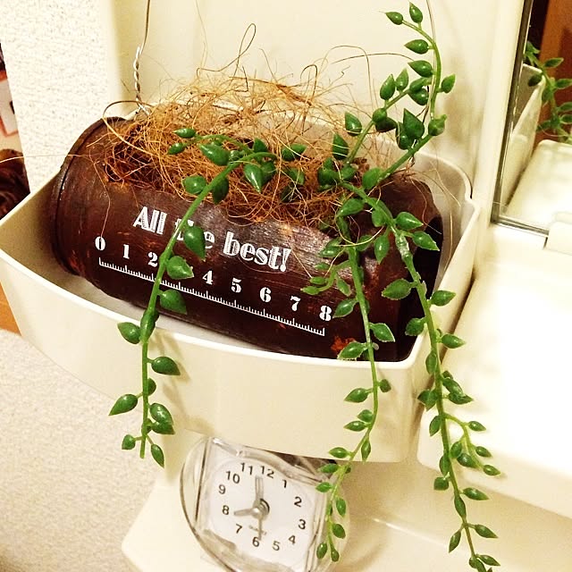 Satoさんの実例写真