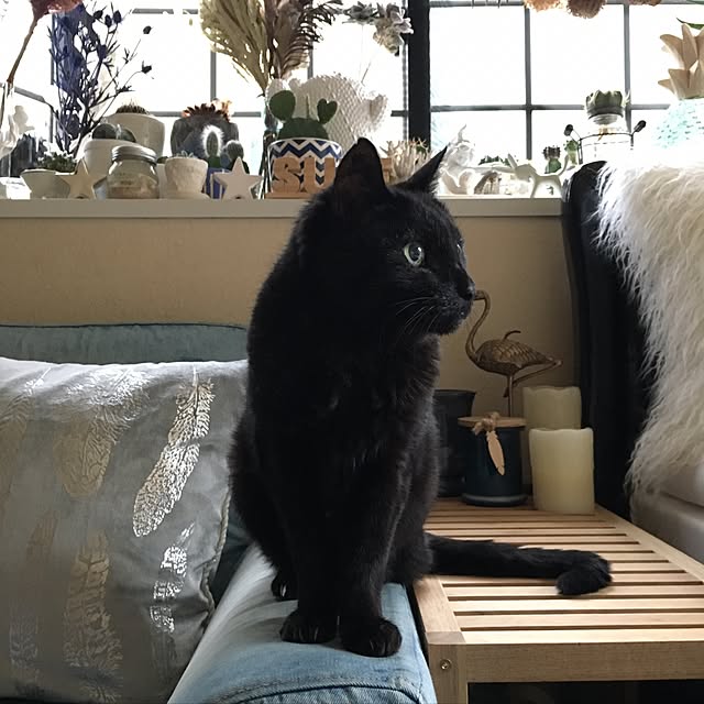 TiffanyTさんの実例写真