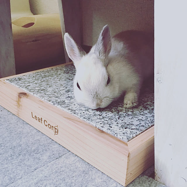 alvin.0522さんの実例写真