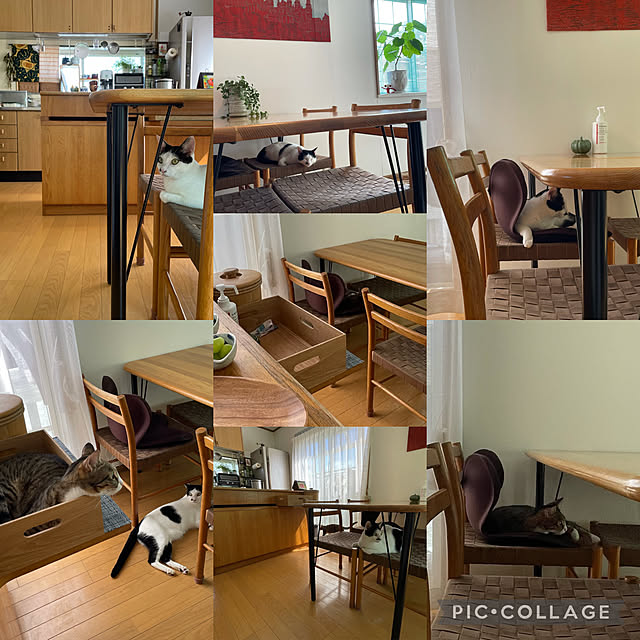 nobikoさんの実例写真