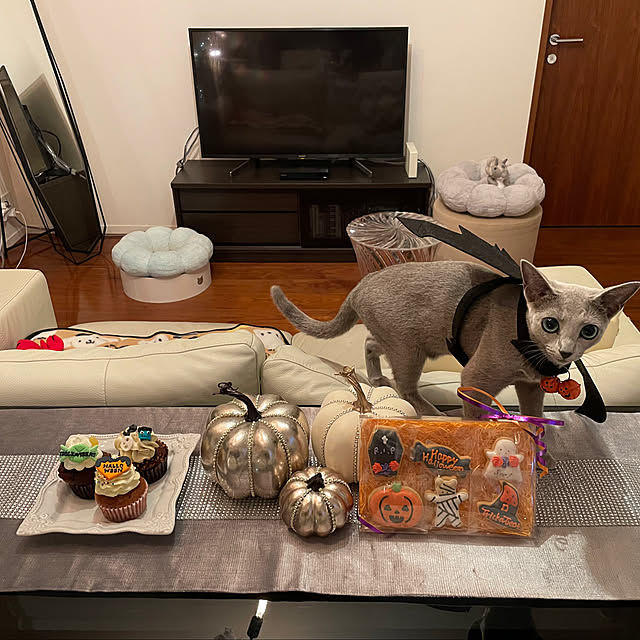 chicaさんの実例写真