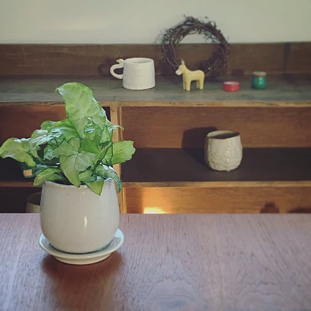 akoehonさんの実例写真