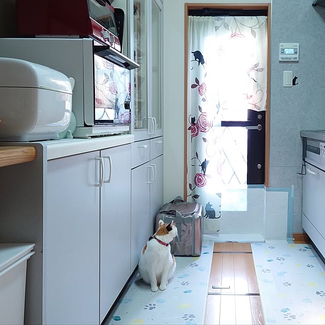 nyanta.koume.kannaさんの部屋