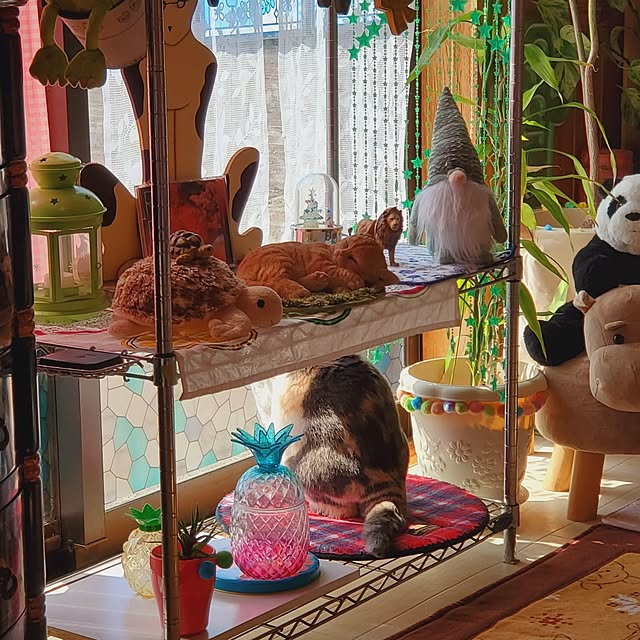 kumutanさんの実例写真