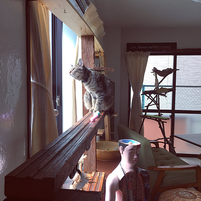 Mさんの実例写真