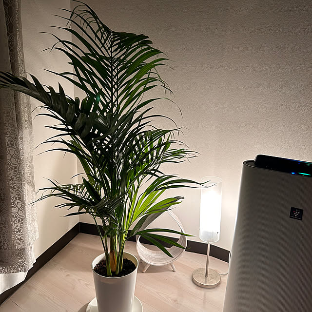 Mu_rannさんの実例写真