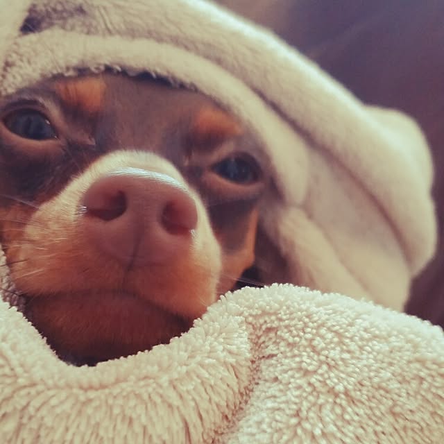 Reiyaさんの実例写真