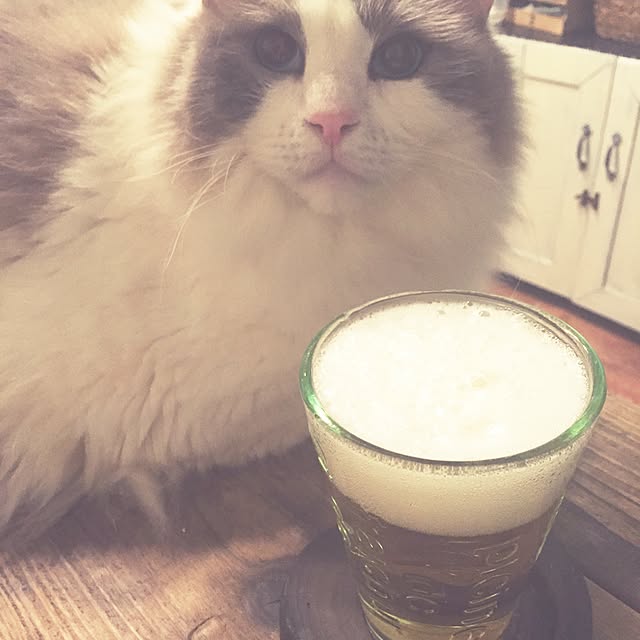 runtenさんの実例写真