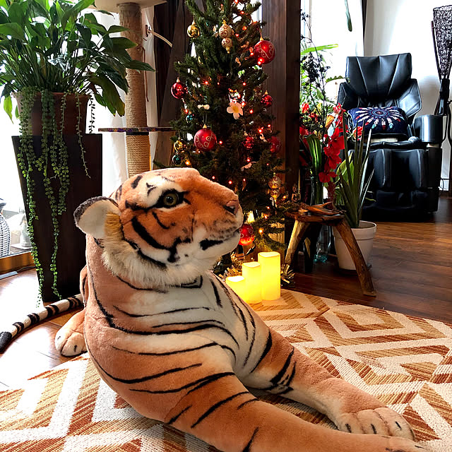 aiaiさんの実例写真
