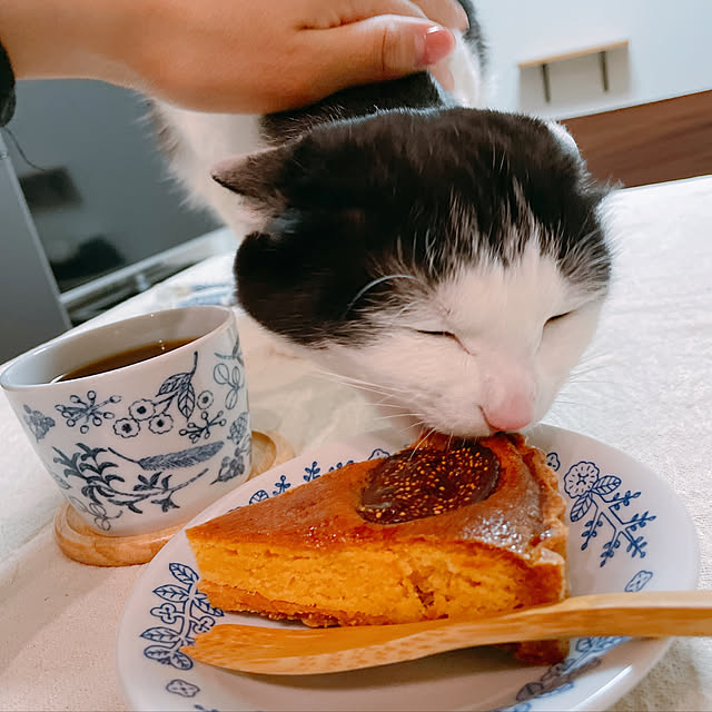 harukaさんの実例写真
