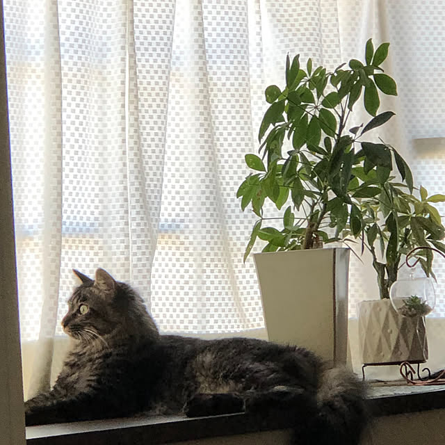 yukoさんの実例写真