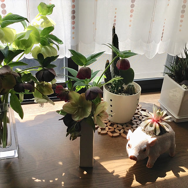 splush1219さんの実例写真