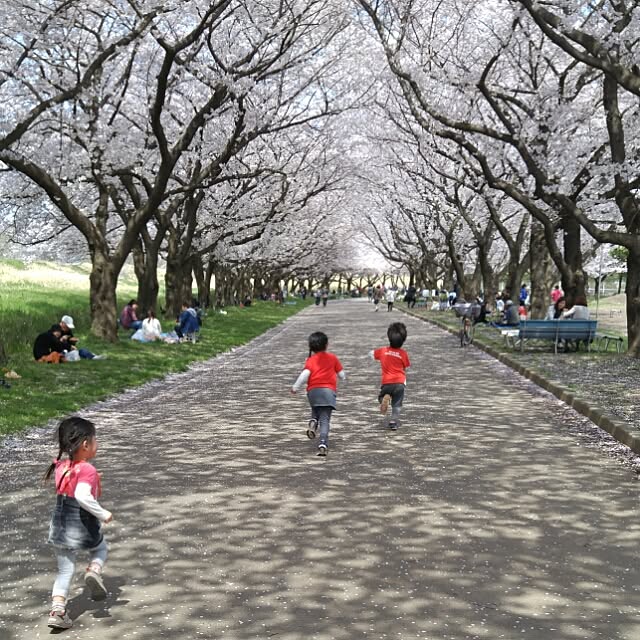 実例写真