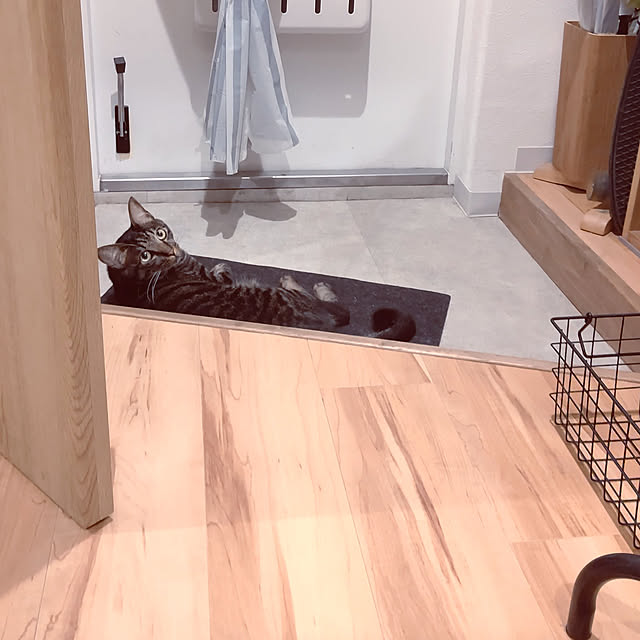 hihaさんの実例写真
