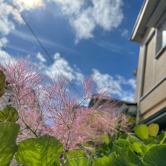 asako.10さんの実例写真