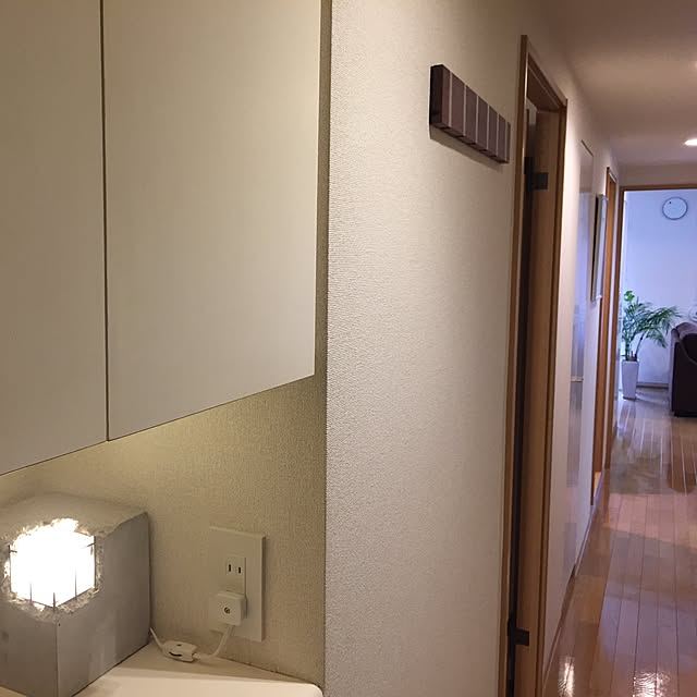 玄関/入り口/一人暮らし/生活感出したくない/観葉植物/男前...などのインテリア実例 - 2017-04-15 10:53:17