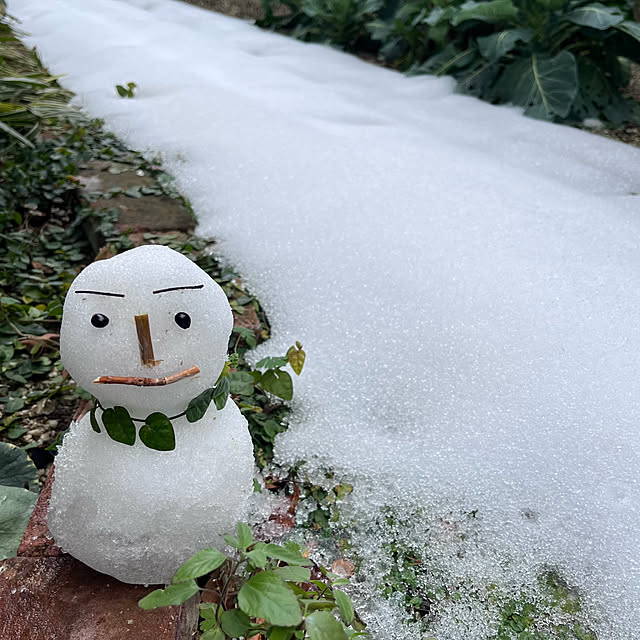 玄関/入り口/家庭菜園/花壇/雪だるま/雪...などのインテリア実例 - 2026-02-10 17:09:32