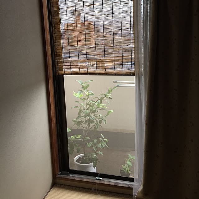 Yayoiさんの実例写真