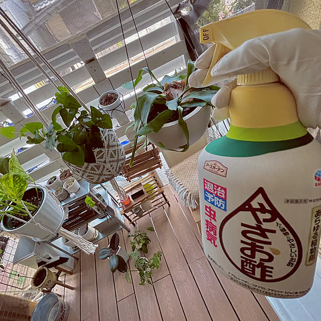 masamasaさんの実例写真