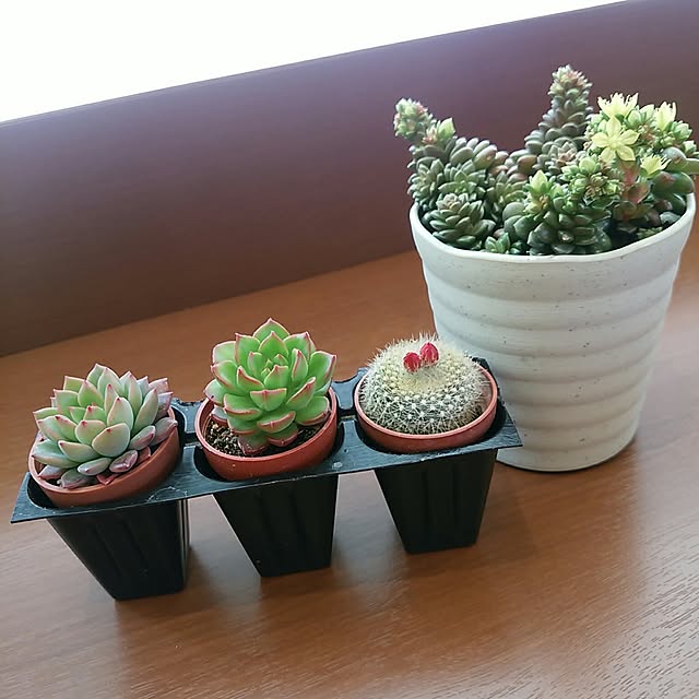 tmkさんの実例写真
