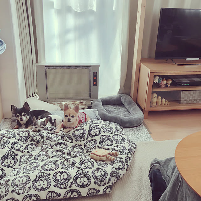 Emiさんの実例写真