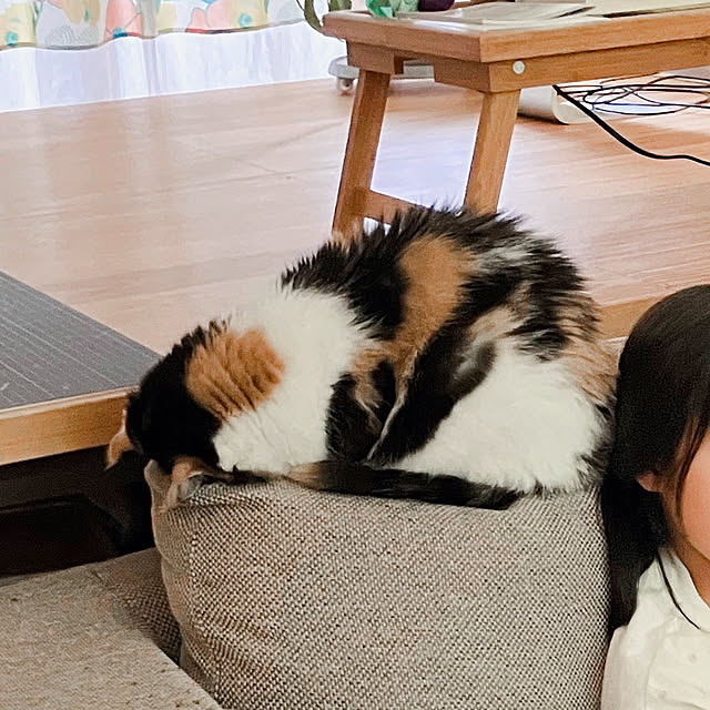 akanekoさんの部屋