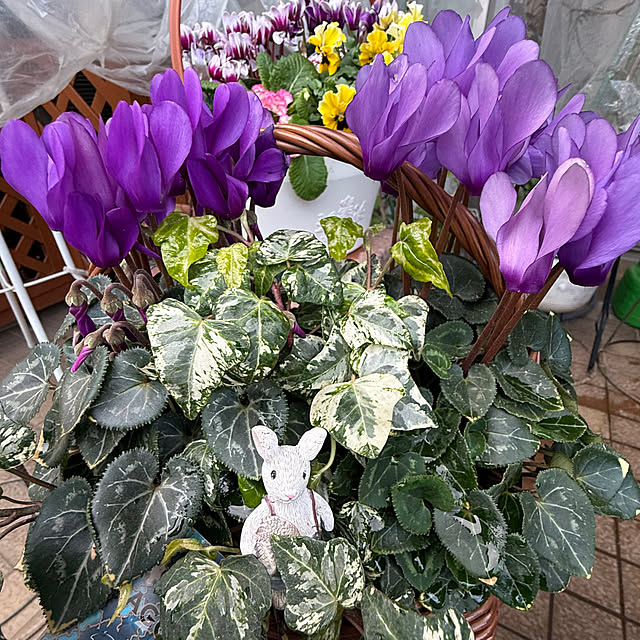 Aqettyさんの実例写真