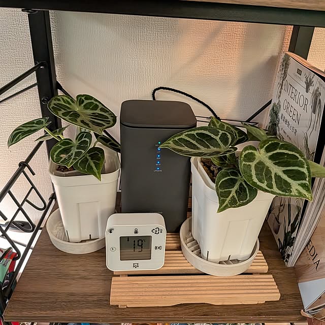 kolo92さんの部屋