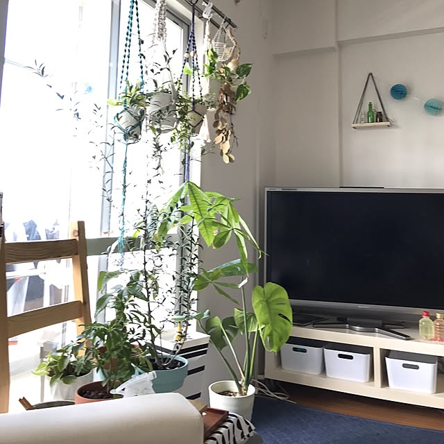 yuccoさんの実例写真